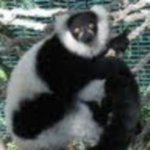 Meet your Posher, Richard